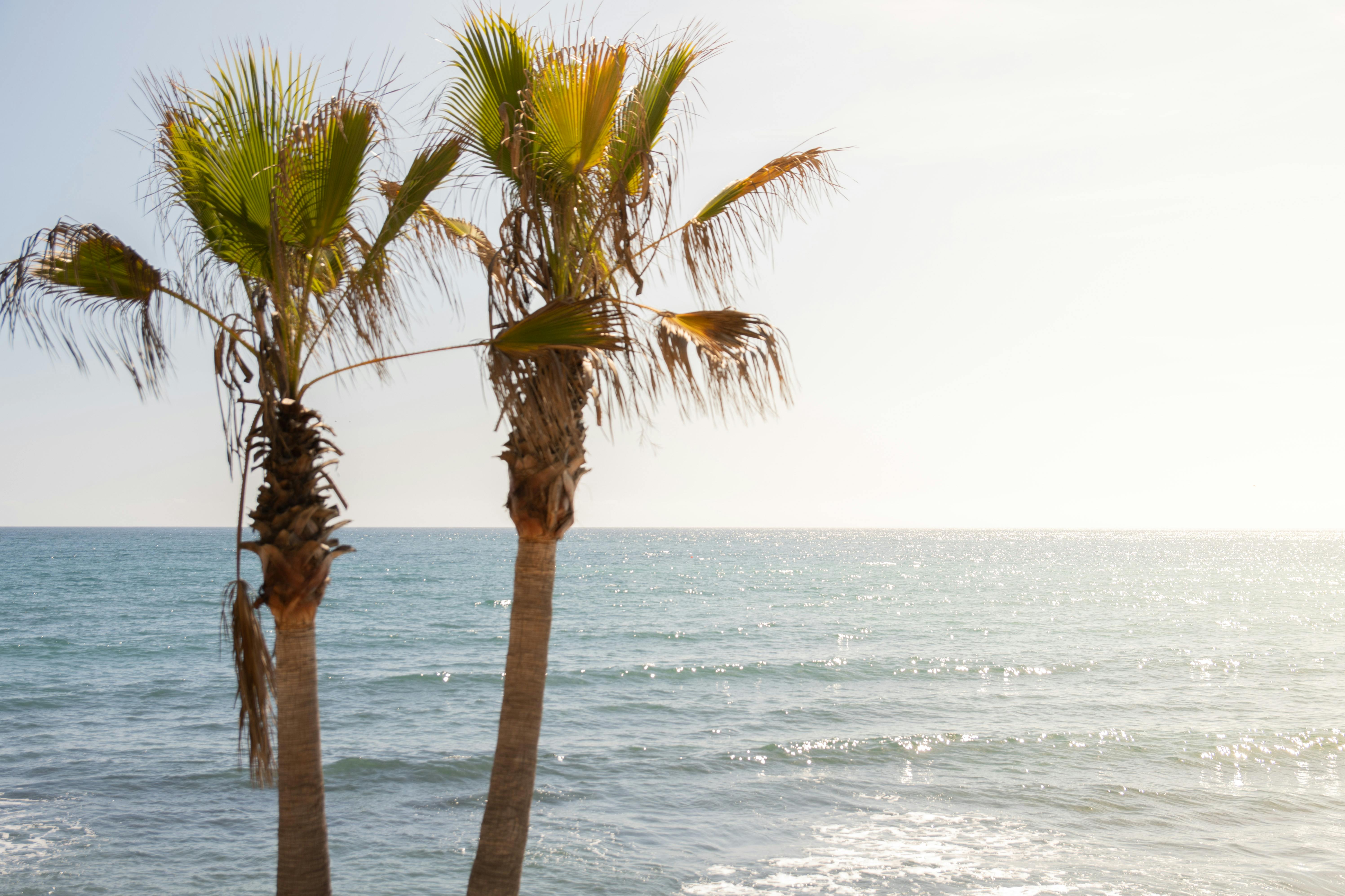 beach marbella